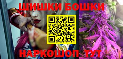 индика Камень-на-Оби