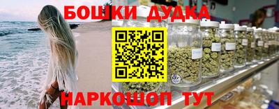 индика Камень-на-Оби
