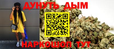 индика Камень-на-Оби