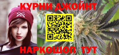 индика Камень-на-Оби