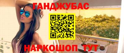 индика Камень-на-Оби