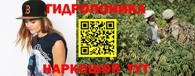 индика Камень-на-Оби