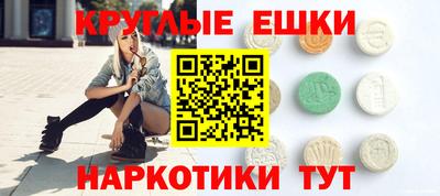 индика Камень-на-Оби
