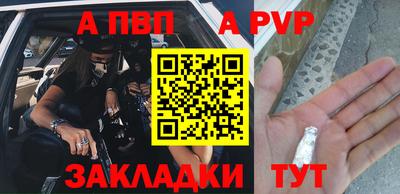 индика Камень-на-Оби