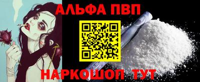 индика Камень-на-Оби