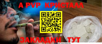 индика Камень-на-Оби