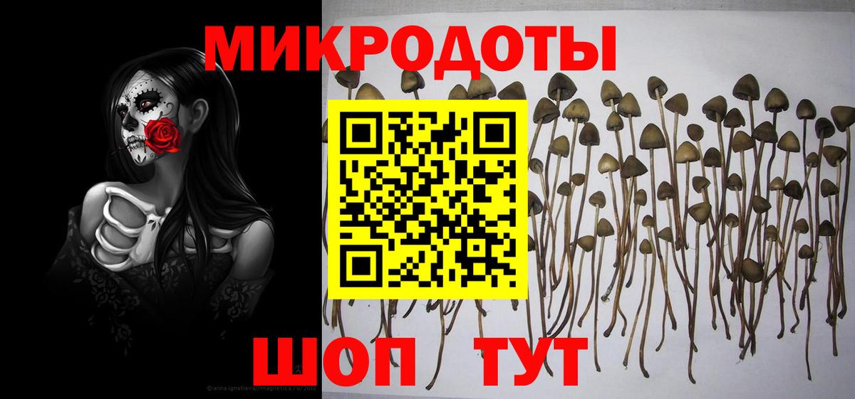 Псилоцибиновые грибы MAGIC MUSHROOMS Аша